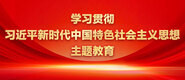 欧美操逼后入浪潮后入好学习贯彻习近平新时代中国特色社会主义思想主题教育_fororder_ad-371X160(2)